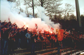 FSV!!!
