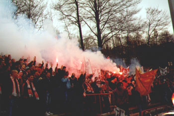 FSV!!!